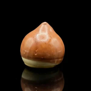 Fava di Cioccolato