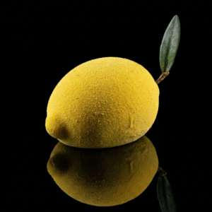 Fava di Cioccolato